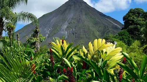 Boutons sous la barbe : les solutions.