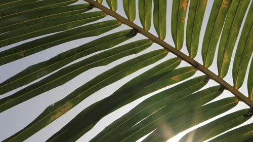 Peut-on utiliser une crème hydratante sur un coup de soleil ?