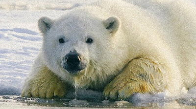 Pourquoi bien s'hydrater même en hiver ?