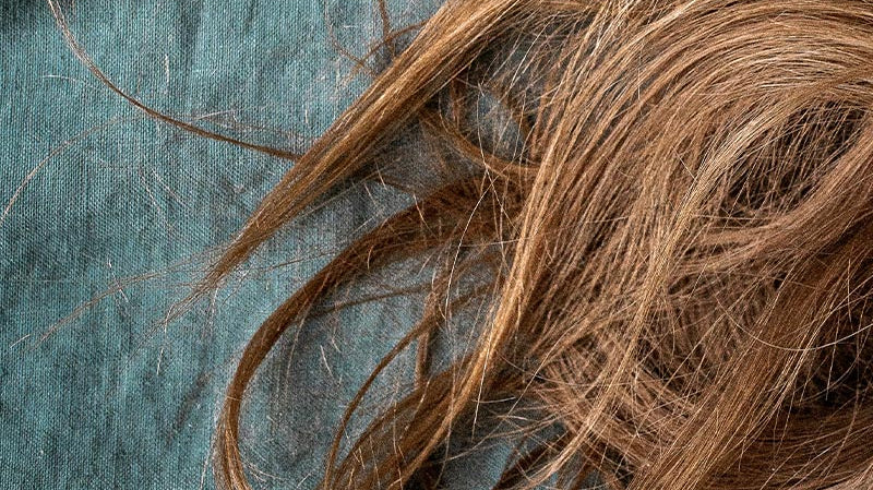 Texture des cheveux : trouver son type de cheveux.