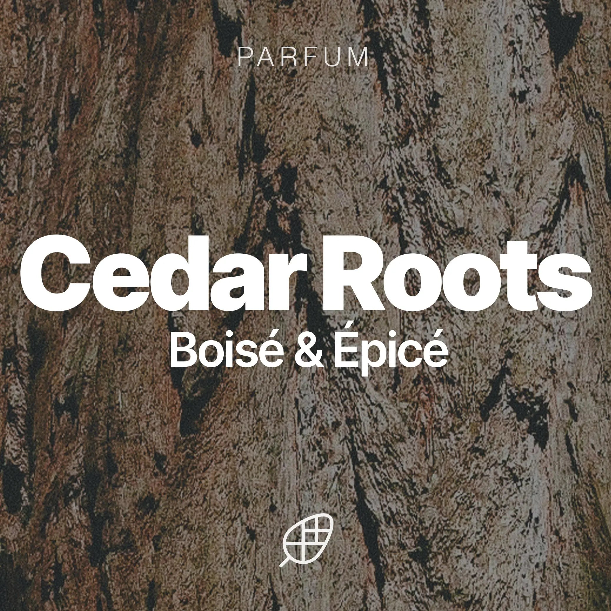 Huile à Barbe - Cedar Roots Edition - Sapiens