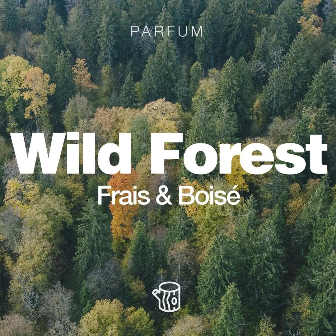 Huile à barbe bio - Sapiens