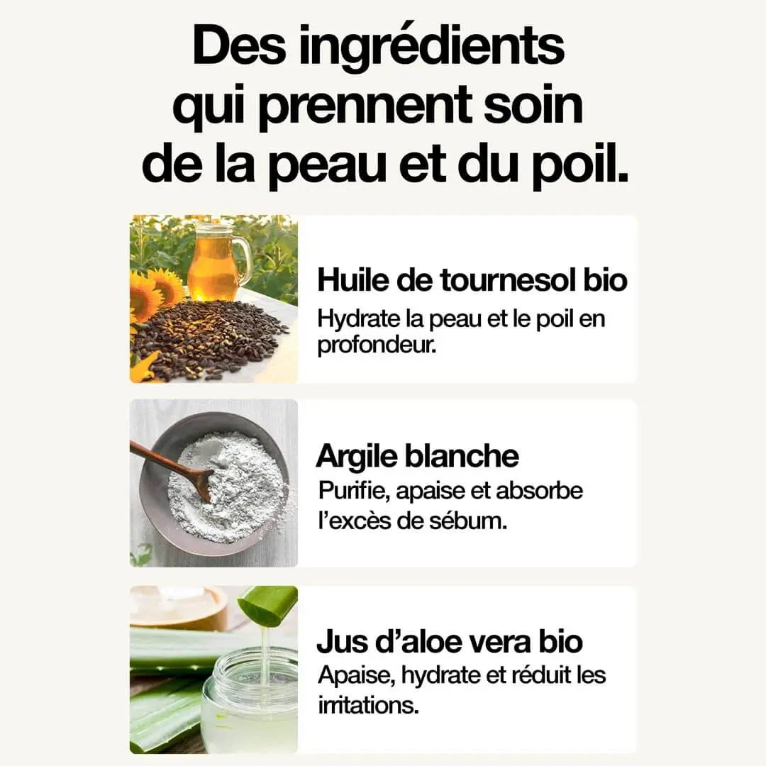 Hydratant Visage - Sapiens