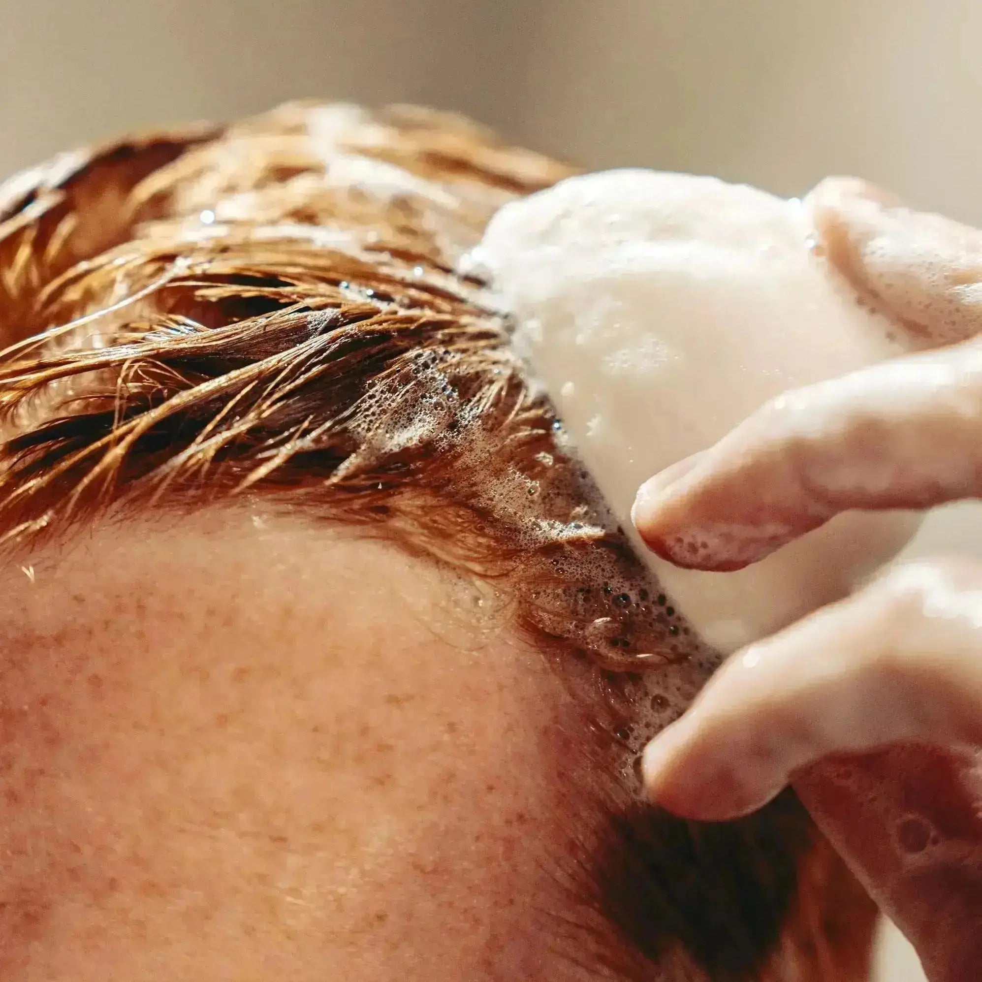 Shampooing Solide Cheveux - Sapiens