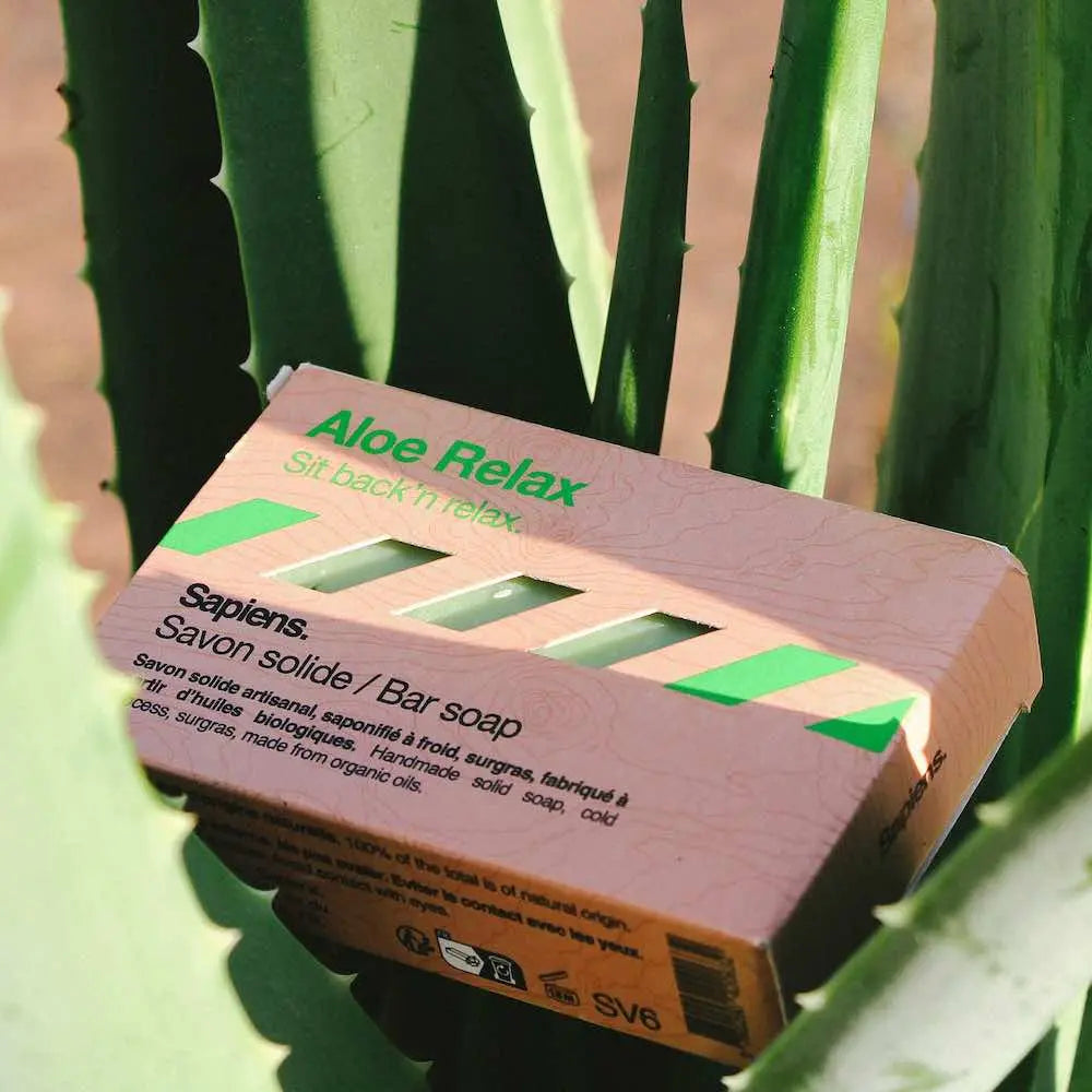 Savon Solide | Aloe Relax Sapiens