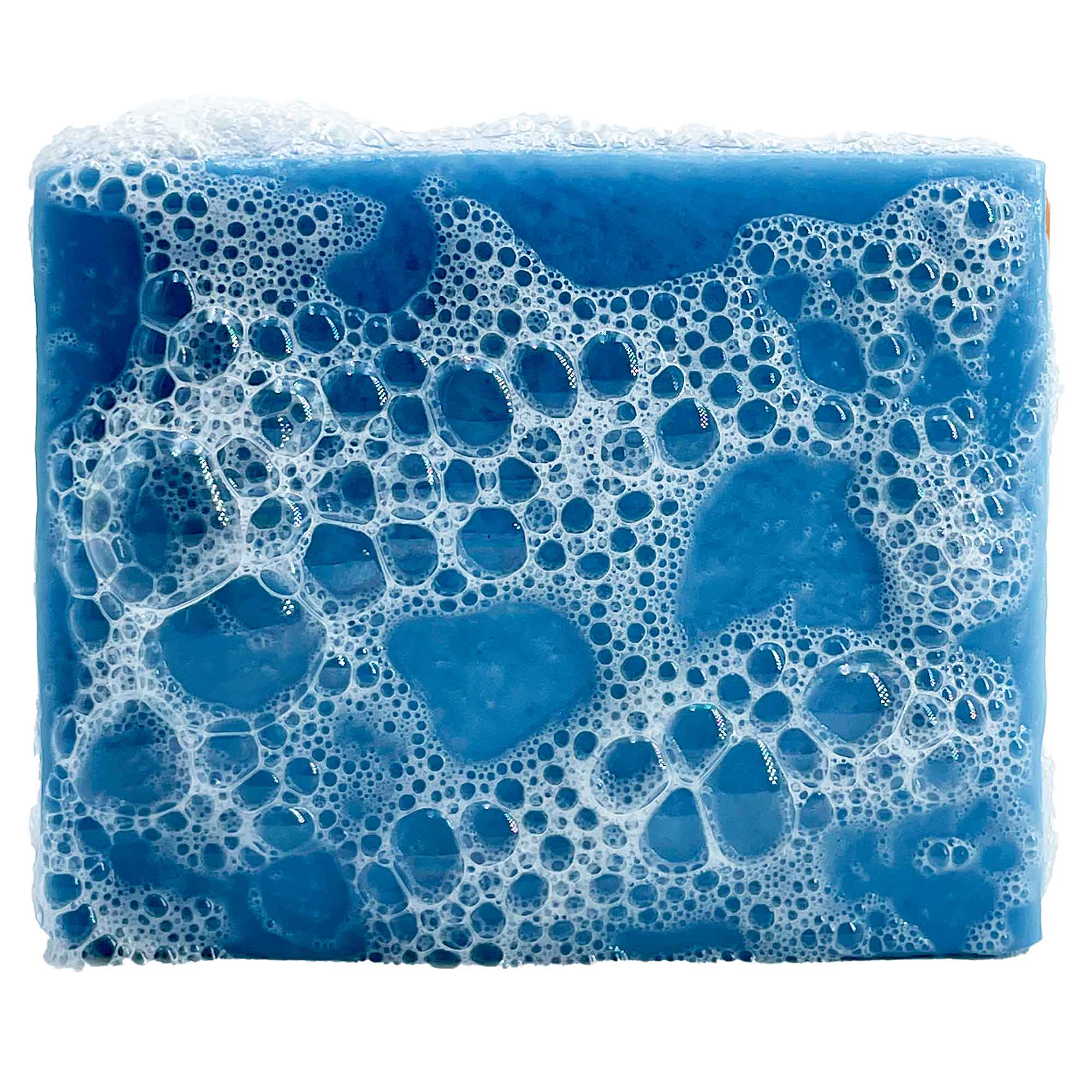 Savon solide | Bretagne in the air Sapiens