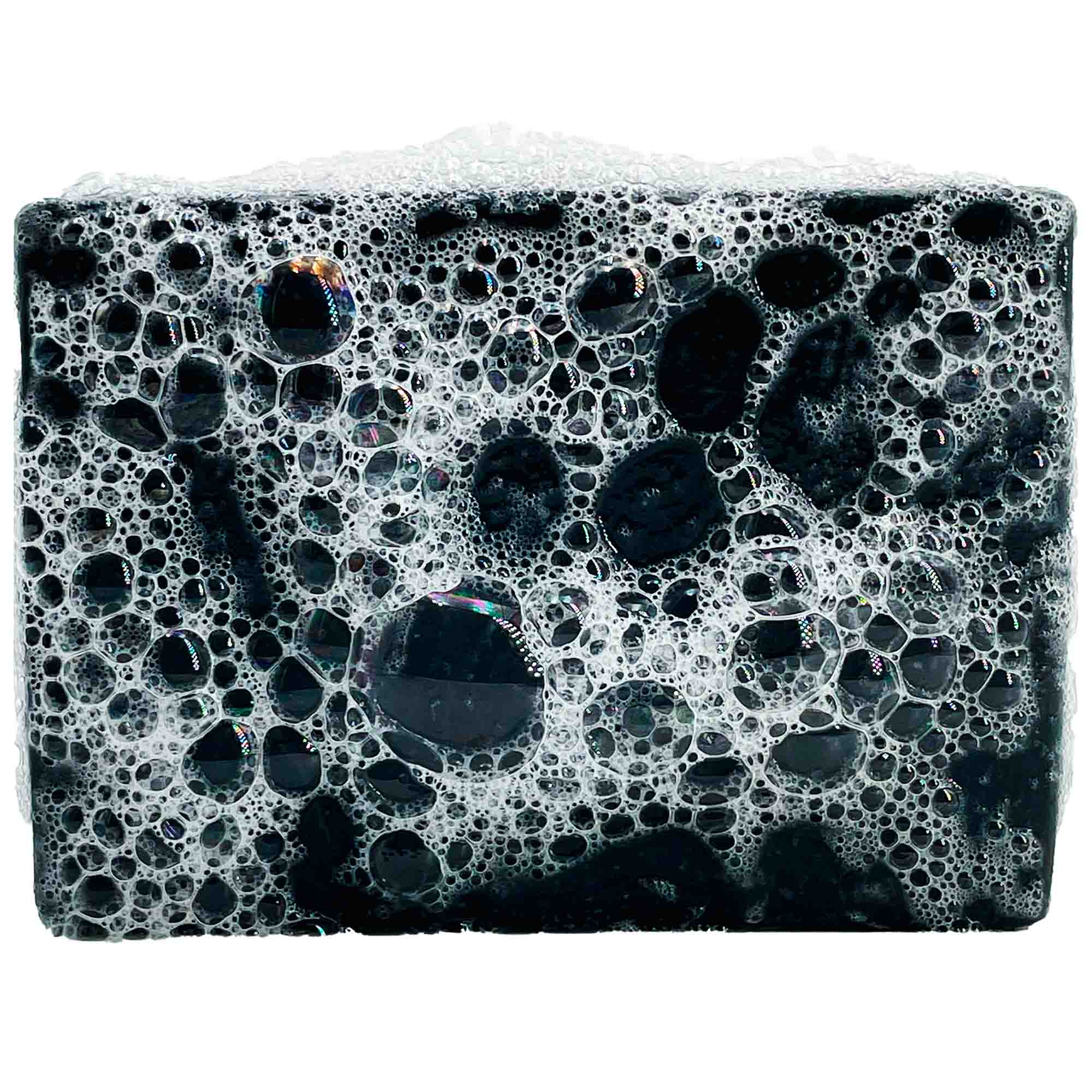 Savon solide | Cedar Roots Sapiens