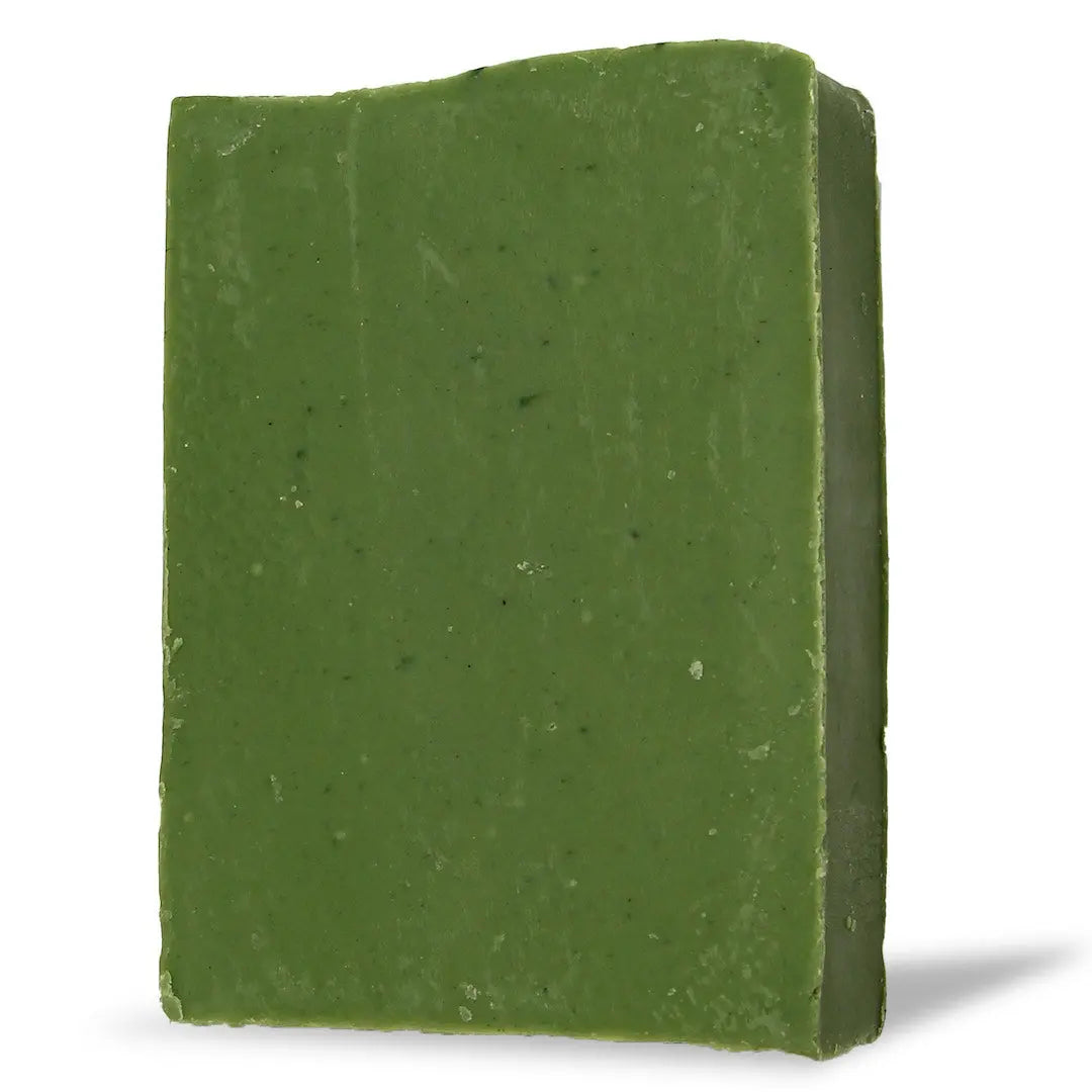 Savon solide | Wild Forest Sapiens