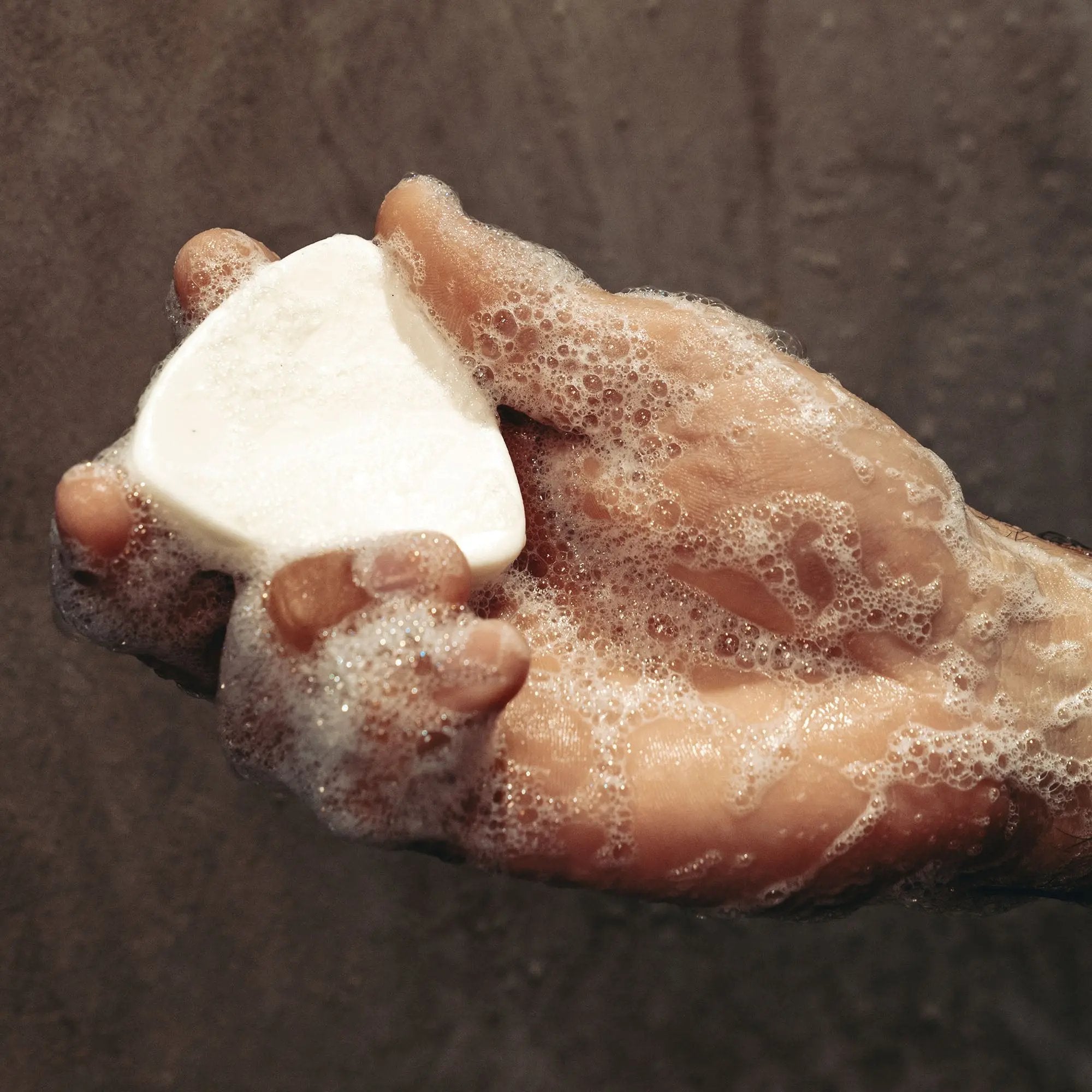 Shampooing Solide Cheveux - Sapiens