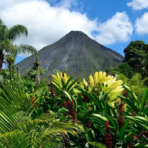 Boutons sous la barbe : les solutions.