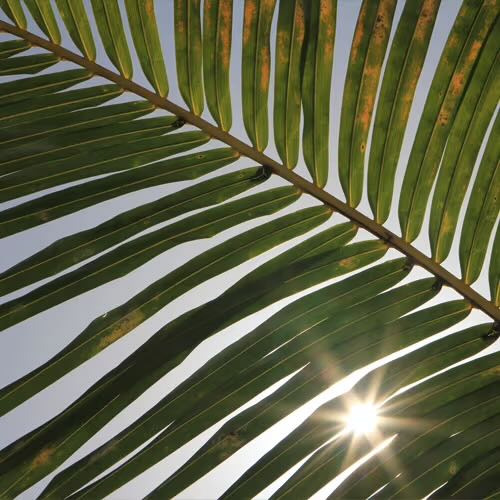 Peut-on utiliser une crème hydratante sur un coup de soleil ?