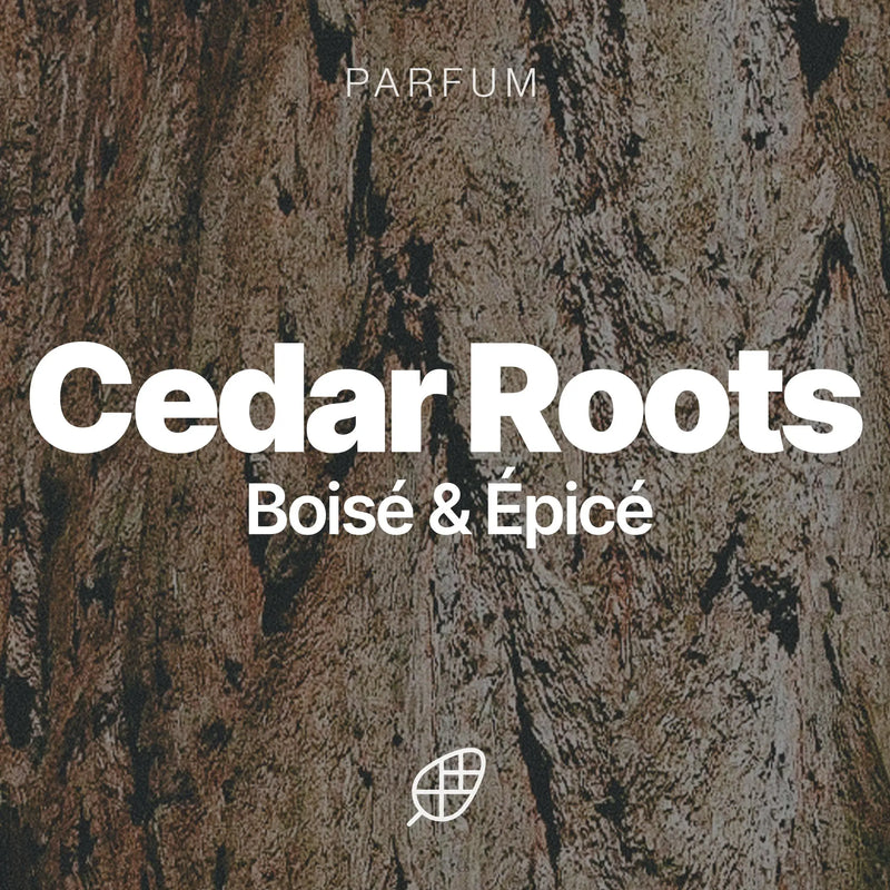 Huile à Barbe - Cedar Roots Edition - Sapiens