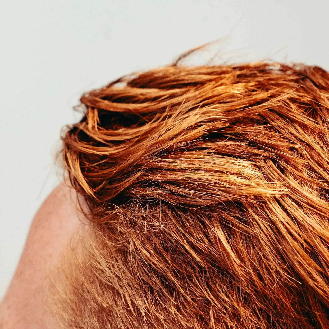 Coffret Cadeau - Coiffage Naturel - Sapiens