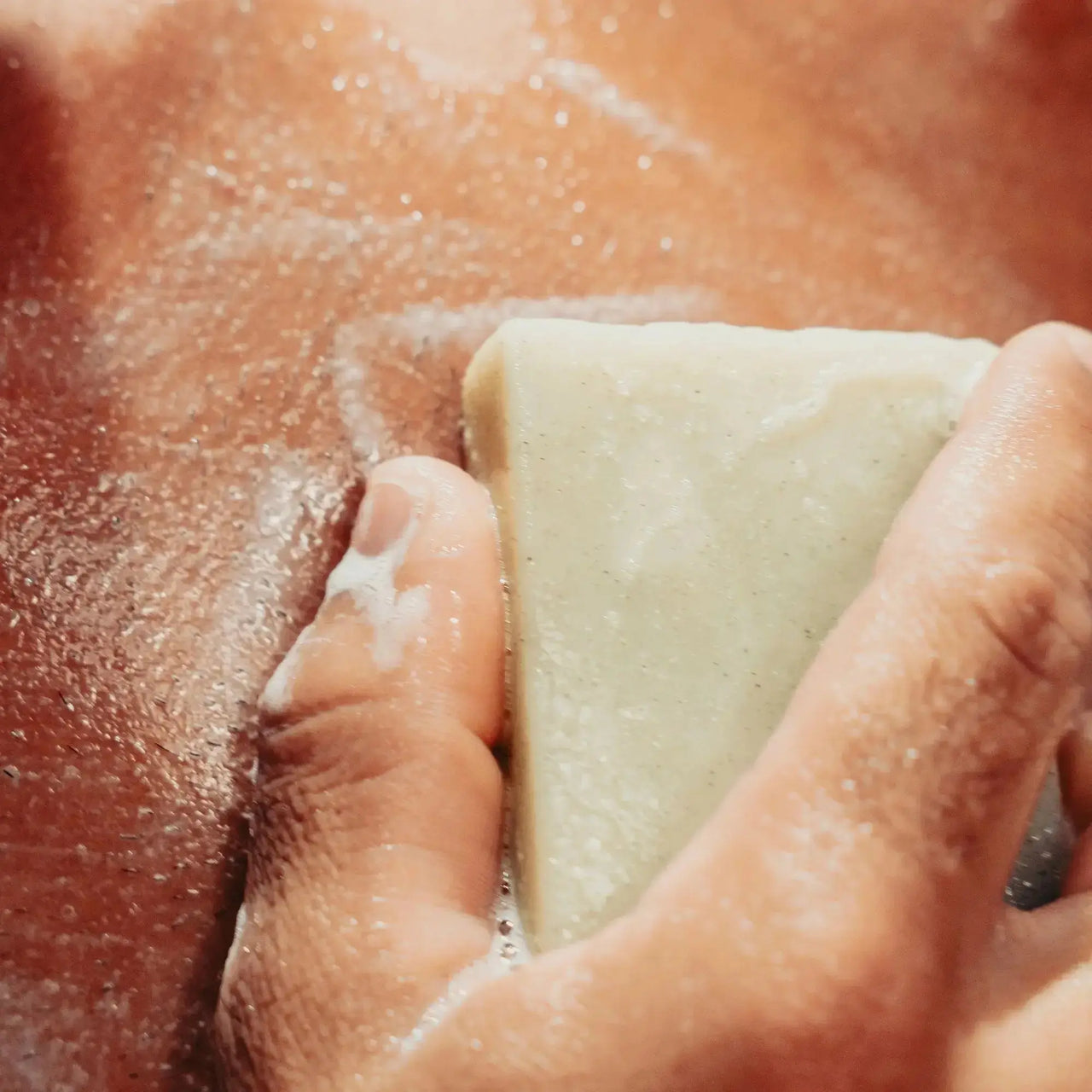 Coffret Cadeau : Routine complète - Sapiens