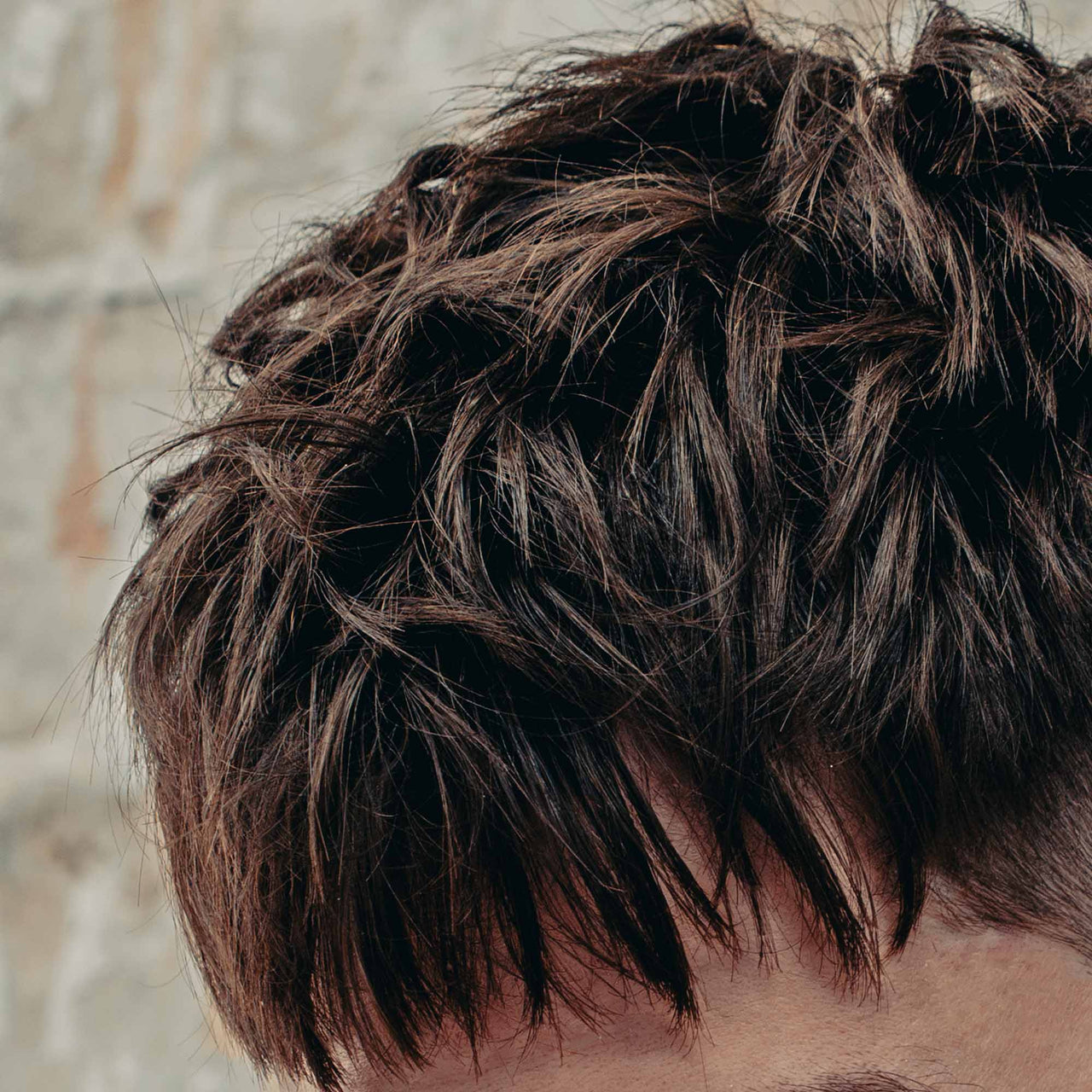 Poudre Coiffante - Sapiens