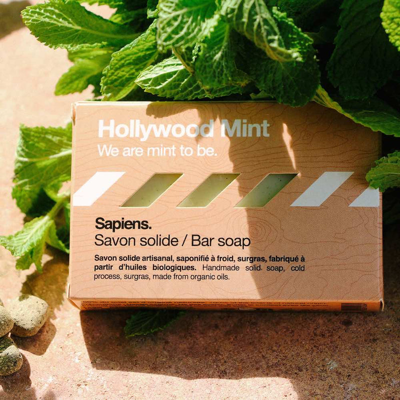 Savon solide | Hollywood Mint  Sapiens