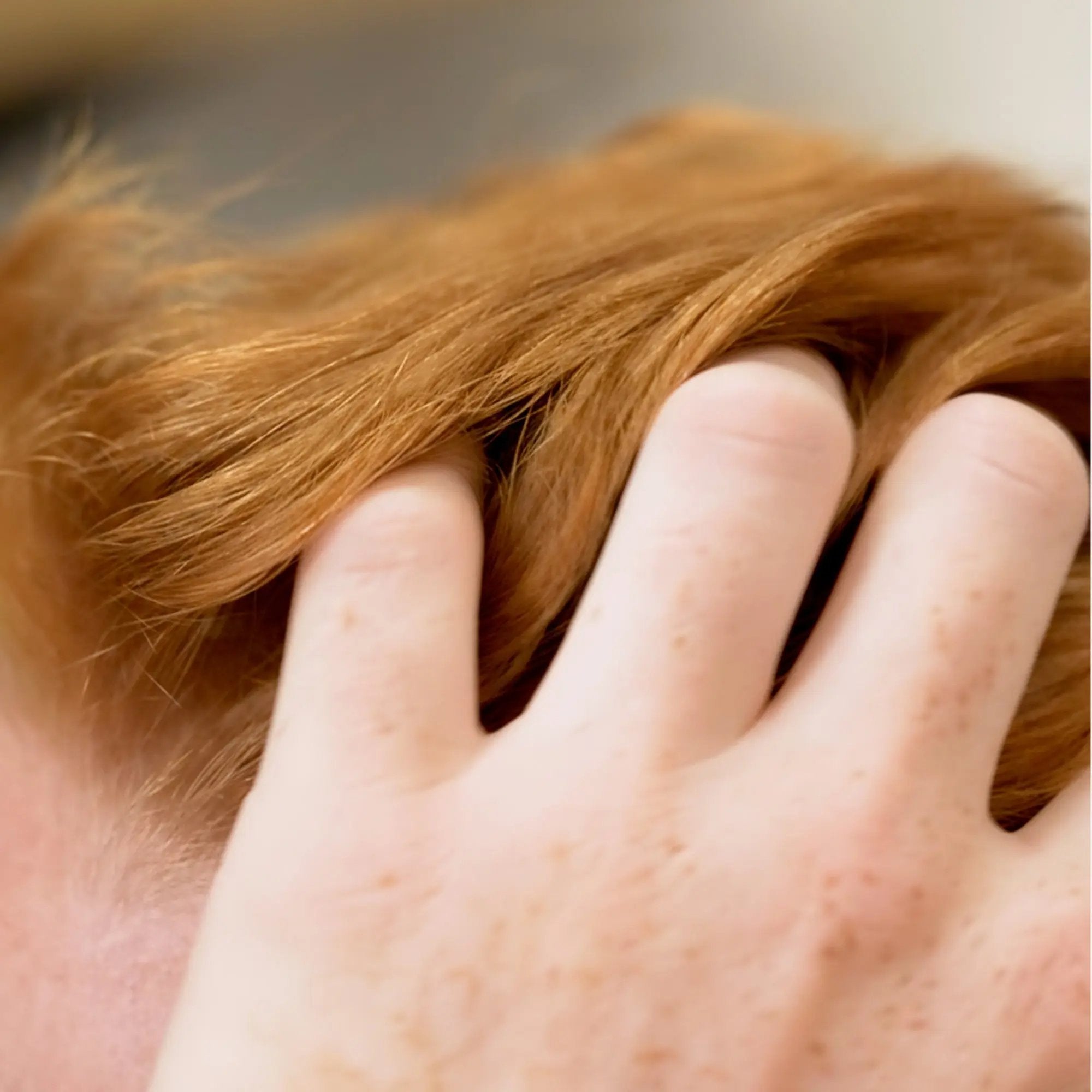 Shampoing Solide Cheveux - Sapiens